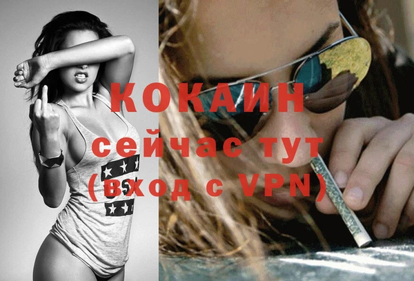 Альфа ПВП Осинники