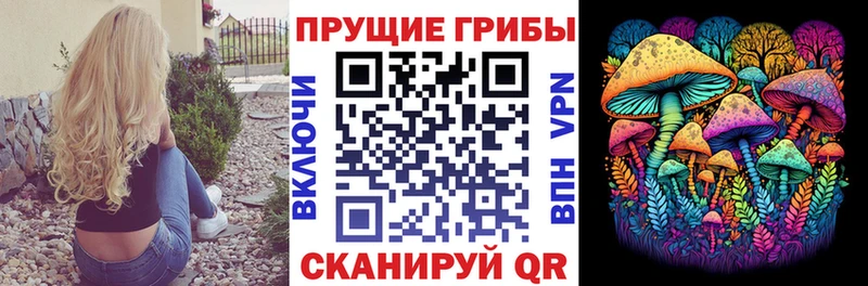 kraken ТОР  Долгопрудный  Псилоцибиновые грибы Psilocybe 